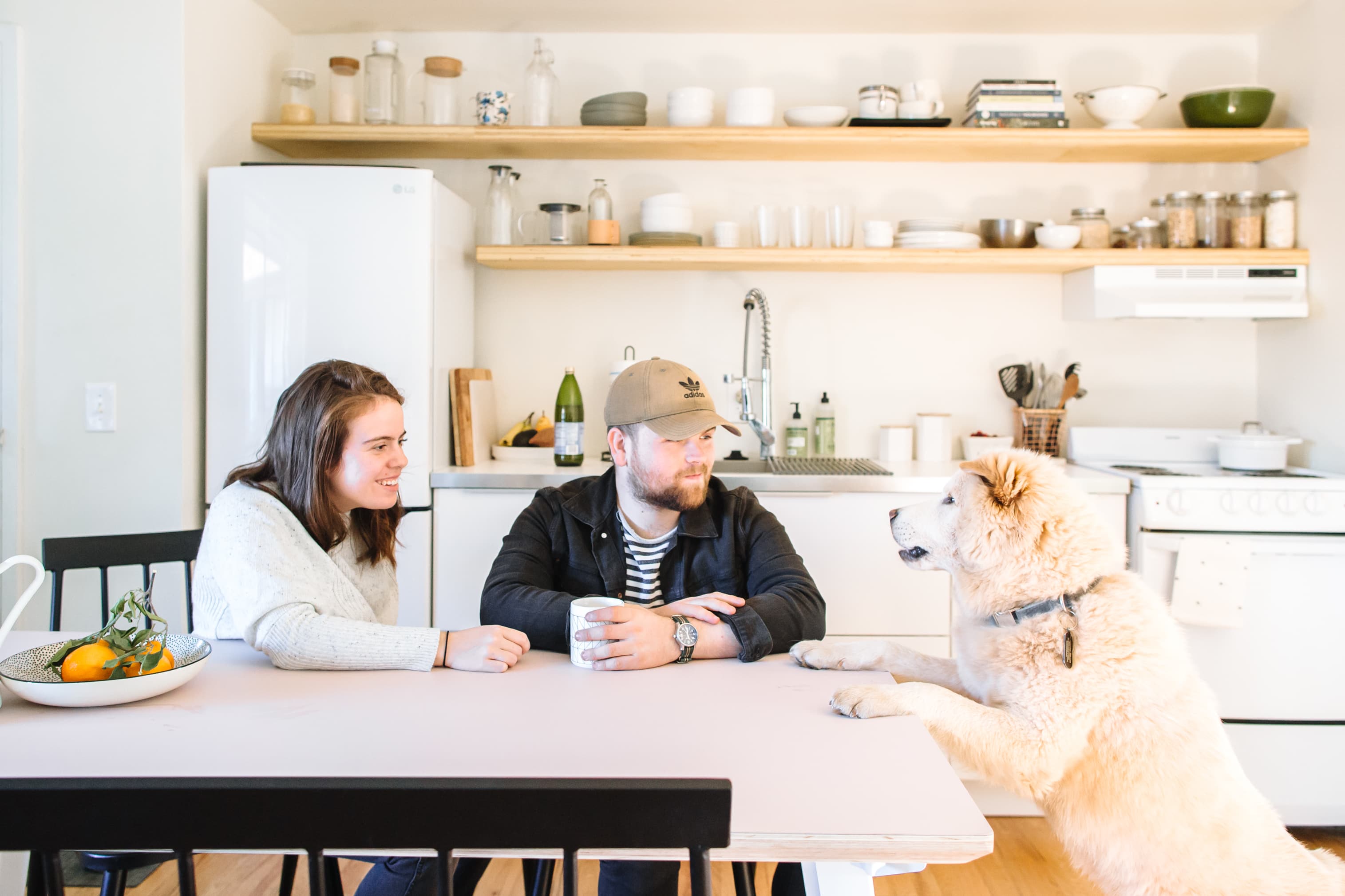 Food themed dog outlet toys